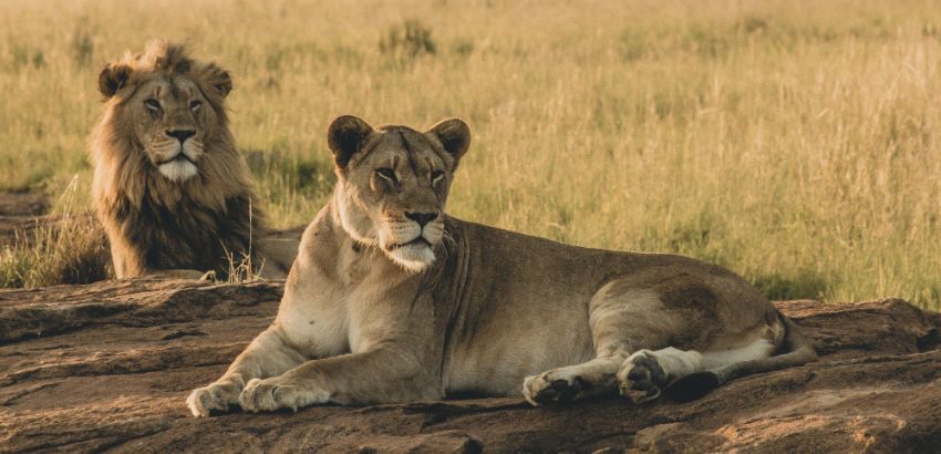 Northern Tanzania