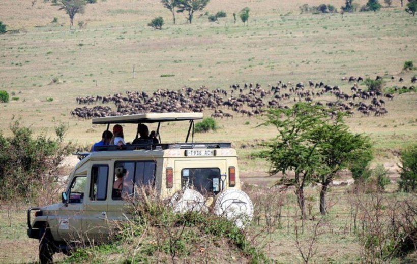 Serengeti -Southern corridor( Ndutu Area)