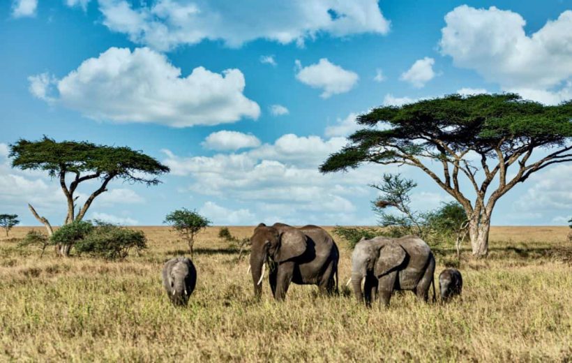 Arusha National Park - Mount Meru circuit
