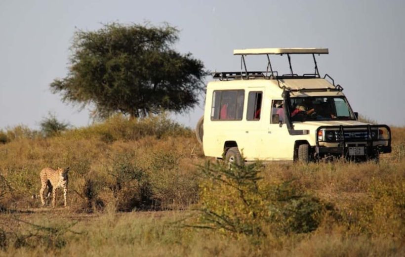 Tarangire National park -The Southern Swamps