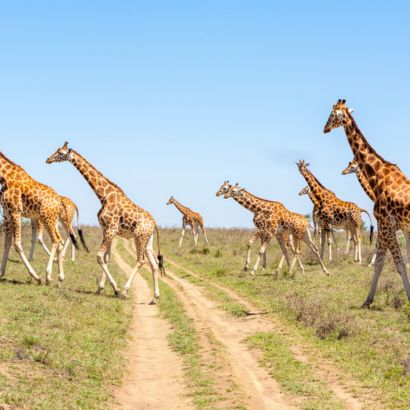 Southern Tanzania